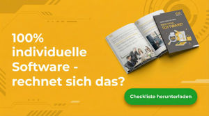 100% Individualsoftware - rechnet sich das? Checkliste Download