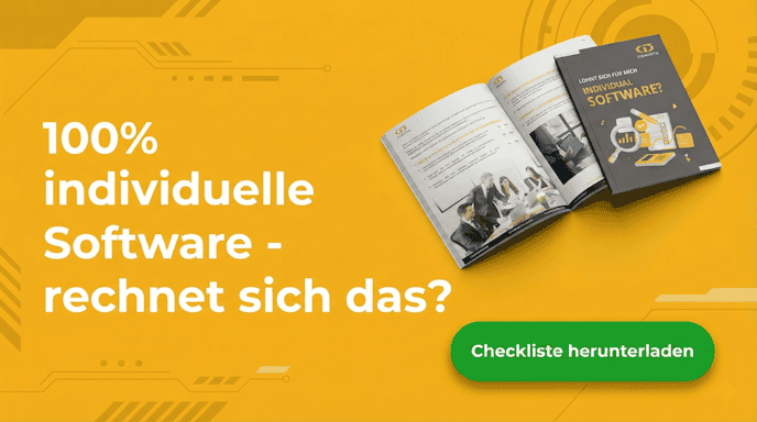100% Individualsoftware - rechnet sich das? Checkliste Download